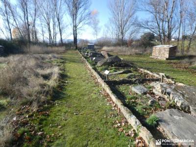 Comida NAVIDAD 2025-Caminos,dehesas Montejo de la Sierra; alpujaras camino de santiago rutas a pie r